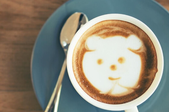 Lazy Bear - photo 3