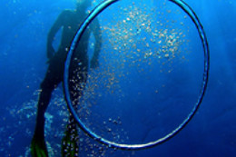 COSTA PALANCIA