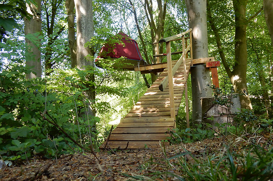 Woody park - photo 0