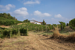 Azienda Agricola Boggero