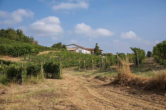 Azienda Agricola Boggero - photo 1