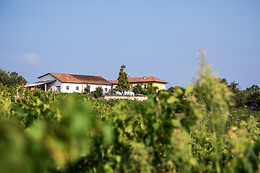 Azienda Agricola Boggero