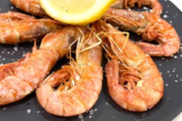 RESTAURANTE DELICIAS DEL SUR
