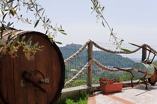 Soggiorno di una notte tra i vigneti con degustazione all'Azienda Agricola la Sarticola in provincia di La Spezia