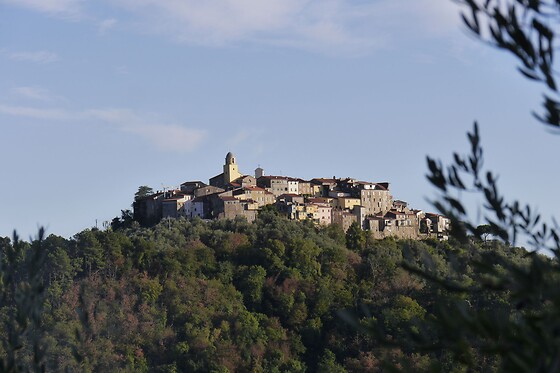 Azienda Agricola la Sarticola - photo 1