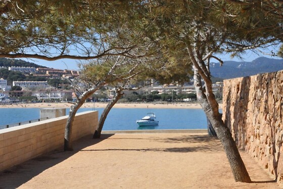 Online Booking EPS - photo 3