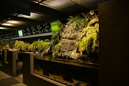 FLUVIÁRIO DE MORA