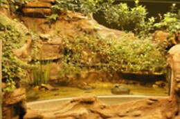 FLUVIÁRIO DE MORA