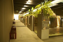 FLUVIÁRIO DE MORA