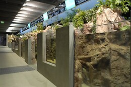 FLUVIÁRIO DE MORA