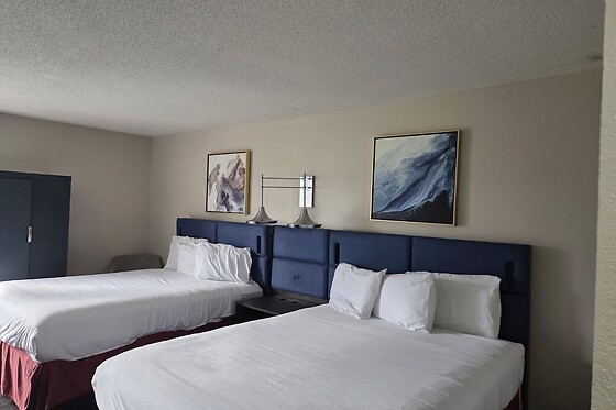 Online Booking EPS - photo 0