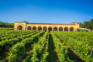 Soggiorno enogastronomico di una notte con visita alla cantina all'Azienda Agrituristica Montetondo in provincia di Verona