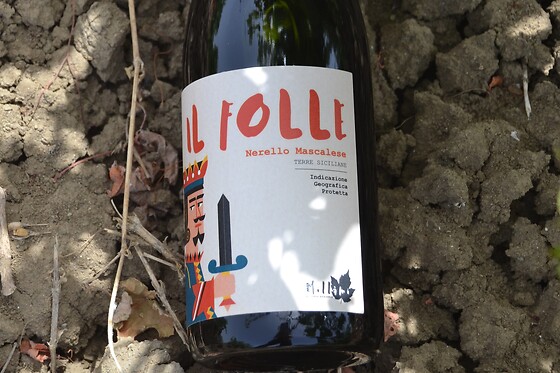 Az. Agricola Millami - photo 3