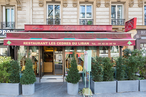 Les Cèdres du Liban - photo 0