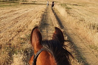 Escursione guidata a cavallo presso Agriturismo Il Mandorleto ad Enna