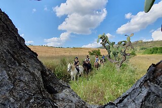 Escursione guidata a cavallo presso Agriturismo Il Mandorleto ad Enna
