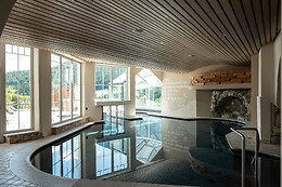 Alpine Wellness Hotel