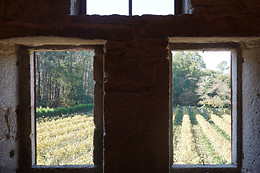 BODEGAS CORISCA
