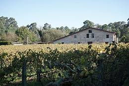 BODEGAS CORISCA