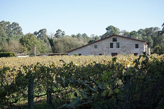 BODEGAS CORISCA - photo 3