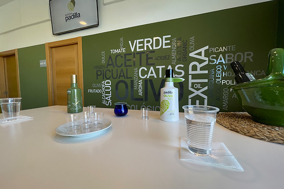 ACEITES PADILLA - photo 6