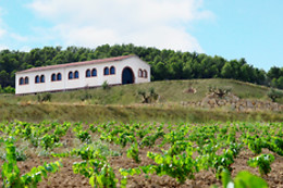 CELLER VELL - CAVATREN H0