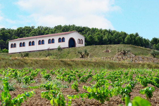 CELLER VELL - CAVATREN H0 - photo 0