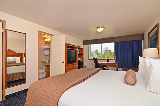Online Booking EPS - photo 3