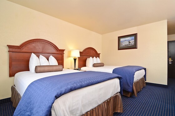 Online Booking EPS - photo 6