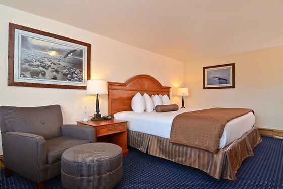 Online Booking EPS - photo 9