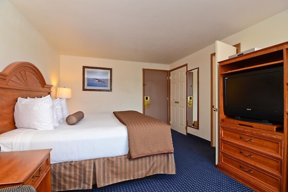 Online Booking EPS - photo 5