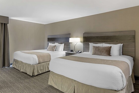 Online Booking EPS - photo 10