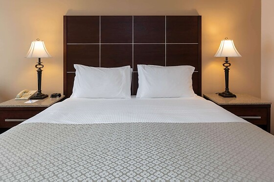 Online Booking EPS - photo 6