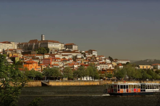Basófias - photo 8