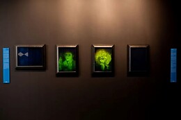Museum of Illusions