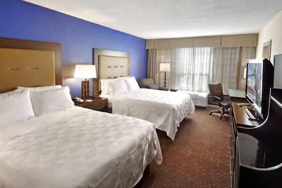 Online Booking EPS - photo 6