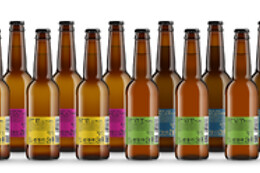 CERVEZAS ARRIACA