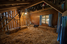 Eselhof Säge