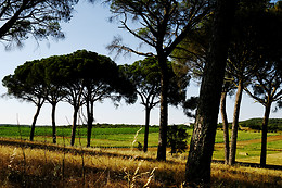 Herdade de Coelheiros