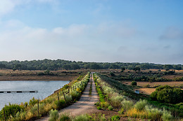 Herdade de Coelheiros