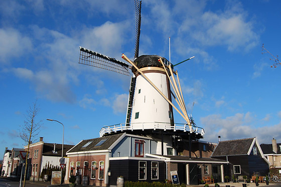 Brouwcafé de Molen - photo 0