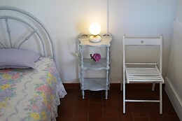 Casinha Robusto