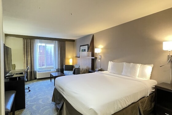 Online Booking EPS - photo 2