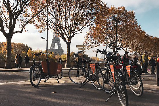 Holland Bikes - photo 2