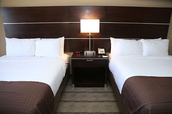 Online Booking EPS - photo 3