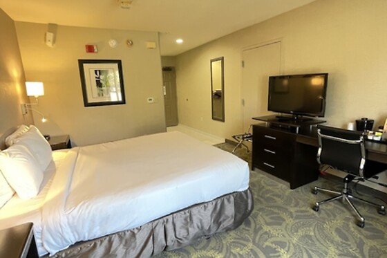 Online Booking EPS - photo 3