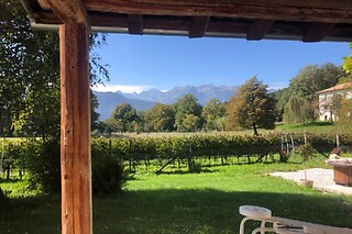 Visita dei vigneti e degustazione presso Azienda Agricola Viola in provincia di Trento