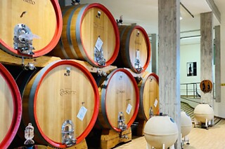 Visita della cantina con degustazione presso Fattoria Colsanto in provincia di Perugia