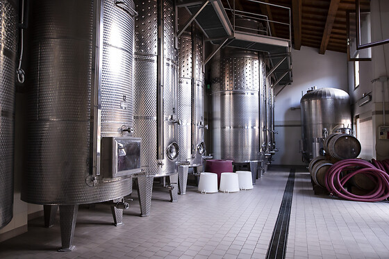 Cantina Castello - photo 4