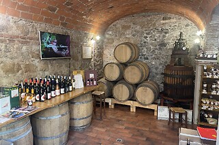Visita della cantina e degustazione presso Cantina Costantini a Genzano di Roma